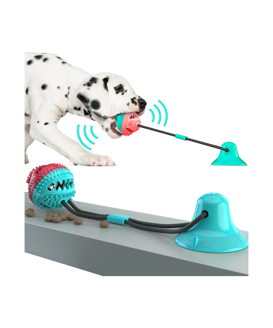 Honden TrekTouw